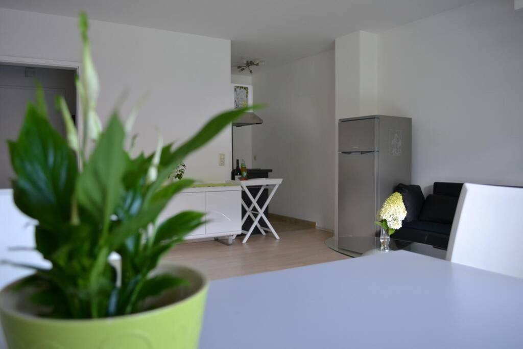 Ferienwohnung Stimmer Grainau Exteriör bild